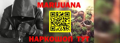 не бодяженный Гай