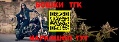 крисы Гагарин