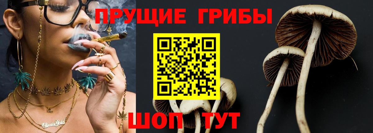 Псилоцибиновые грибы мицелий Балахна